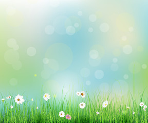 Fototapeta na wymiar Vector illustration Spring nature field with green grass, white Gerbera- Daisy flowers at meadow and water drops dew on green leaves, with bokeh effect on blue-green pastel colorful background