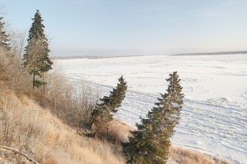 Зимний пейзаж. Ели на склоне холма фоне замёрзшей реки. © Natali Arkhangelsk