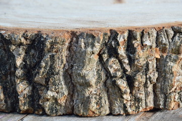 texture of tamarind wood cut for made chopping block