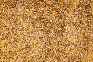 Space of vintage grunge paint black and gold, brown brick wall background of cement, stone old stucco gray texture as a retro pattern wall in rural room from stonework tech, architecture wallpaper