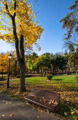 Fototapeta premium autumn in park