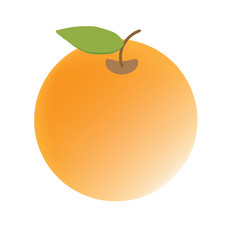 orange vector fruit icon illustration fresh nature