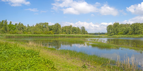 The shore of a sunny lake in spring