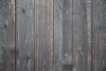 Wood Texture