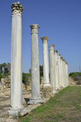 Fototapeta premium Cyprus, ancient Salamis