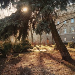 sunny peace of nature in the city