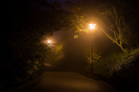 Empty footpath with lamppost in the park in night