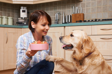 Owner Giving Golden Retriever Meal Of Dog Biscuits In Bowl