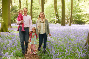 Family Walking Through Bluebell Woods Together