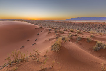 Fototapeta na wymiar Red Sand Dunes after sunset