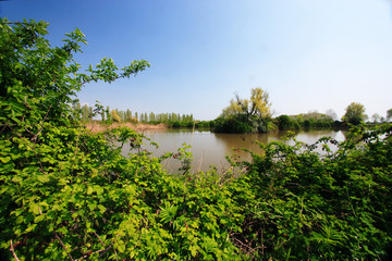 valli di ostellato ferrara