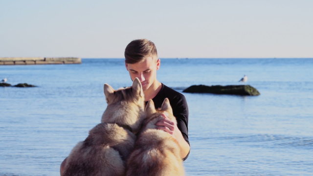 young man caressing two husky dogs on the beach slow motion