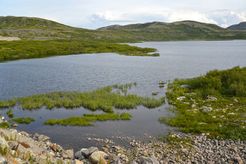 The lake on the Kola Peninsula. Summer northern landscape