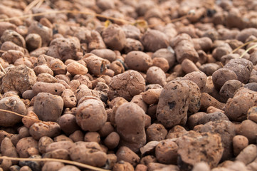 expanded clay aggregate