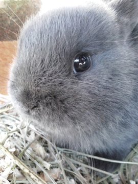 2 Best Logomorfo Images Stock Photos Vectors Adobe Stock