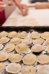 dumpling meat