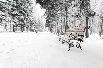 bench in the winter park 