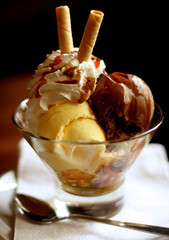 ice cream, gourmet food