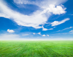Fototapeta premium Field of green grass and blue sky in sunny day