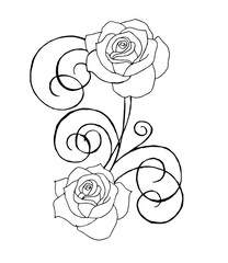 Line art flowers, roses and peonies

