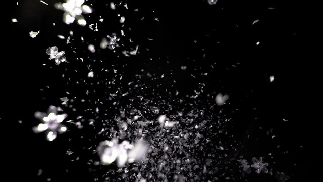 Camera follows snow flake crystals flying after being exploded against black background. Shot with high speed camera, phantom flex 4K.  Slow Motion. Unedited version is included at the end of clip.