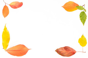 Frame from leaves