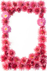 Frame of flowers