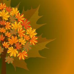 Autumn leaves background