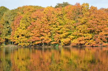 Autumn colors water reflection