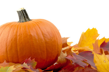 Decoration of pumpkin with autumn leaves for thanksgiving day on white
