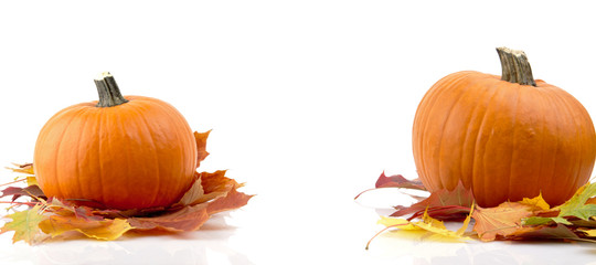 Decoration of pumpkins with autumn leaves for thanksgiving day on white