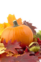  Decoration of pumpkin with autumn leaves for thanksgiving day on white