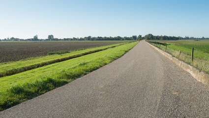 Rural landscape in autumn