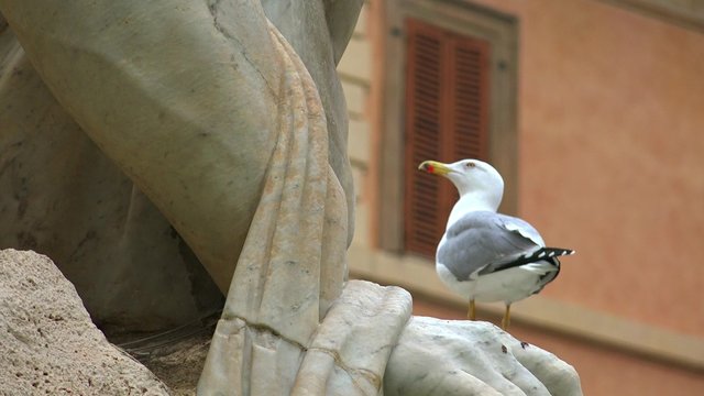 Rome, Italy-circa 2015: Fontana dei Quattro Fiumi (Fountain of the Four Rivers) is a fountain in the Piazza Navona in Rome, Italy.It was designed in 1651 by Gian Lorenzo Bernini.ULTRA HD 4K, real time