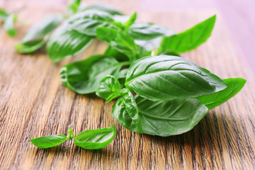 Green fresh basil on wooden background