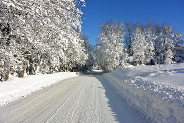 Obraz premium Snow Route. Snow Route in a sunny day with trees covered with fresh snow.