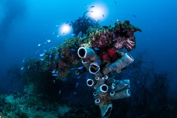 Fotobehang Underwater photographer making photo of bow gun on the wreck ship. © kondratuk