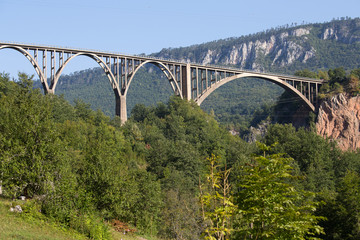Fototapeta premium Bridge is a concrete arch bridge over the Tara River in northern Montenegro