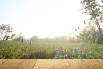 Wooden with meadow background.