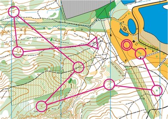 Topographic vector map