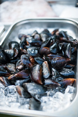 fresh sea mussels in a copper bowl with ice.