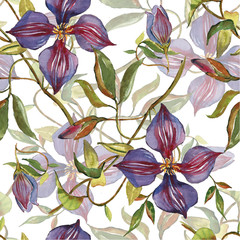 Pattern watercolor violet flower