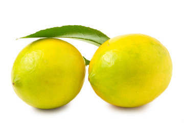 Two lemons on a white background