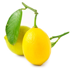 Two lemons on a white background