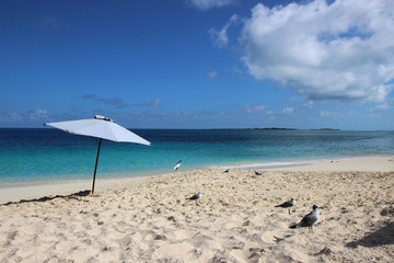 Fototapeta na wymiar Paradise beach in Nassau, Bahamas