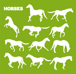 Horses In Various Poses