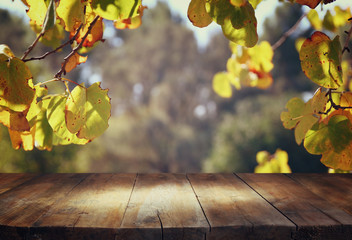 vintage wooden board table in front of dreamy and abstract forest landscape
