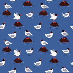 Sea and blackhead seagulls vector seamless pattern