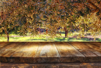 vintage wooden board table in front of dreamy and abstract forest landscape
