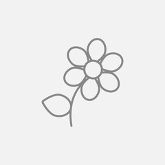 Flower line icon.